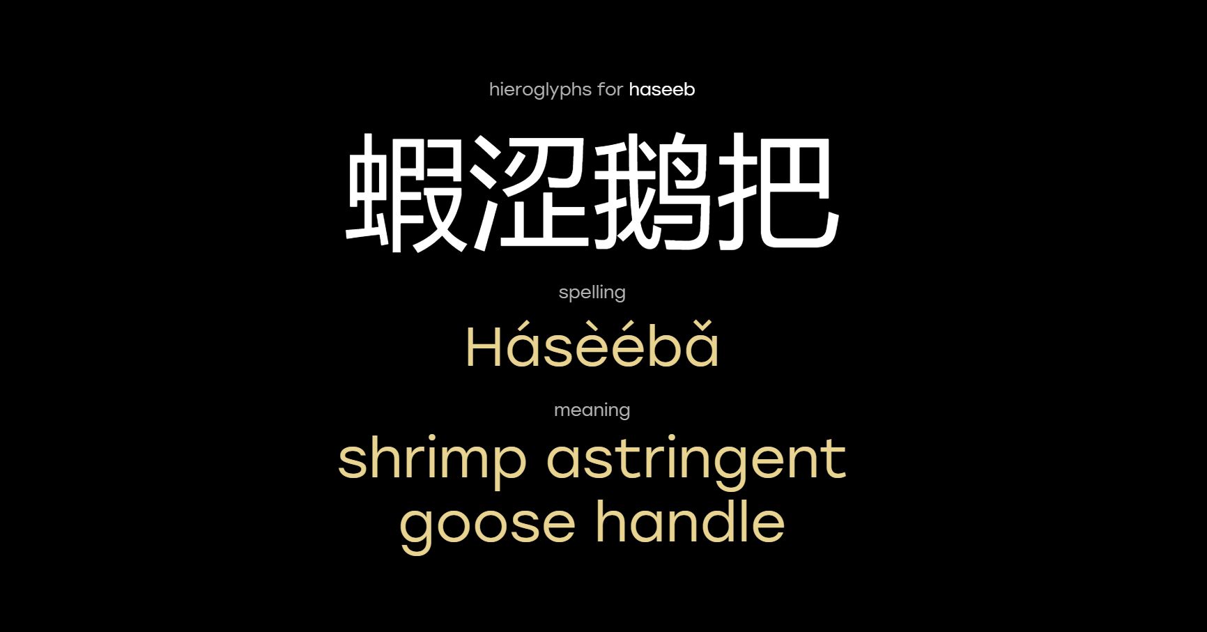 Meaning of name Haseeb in Chinese | Laoshi