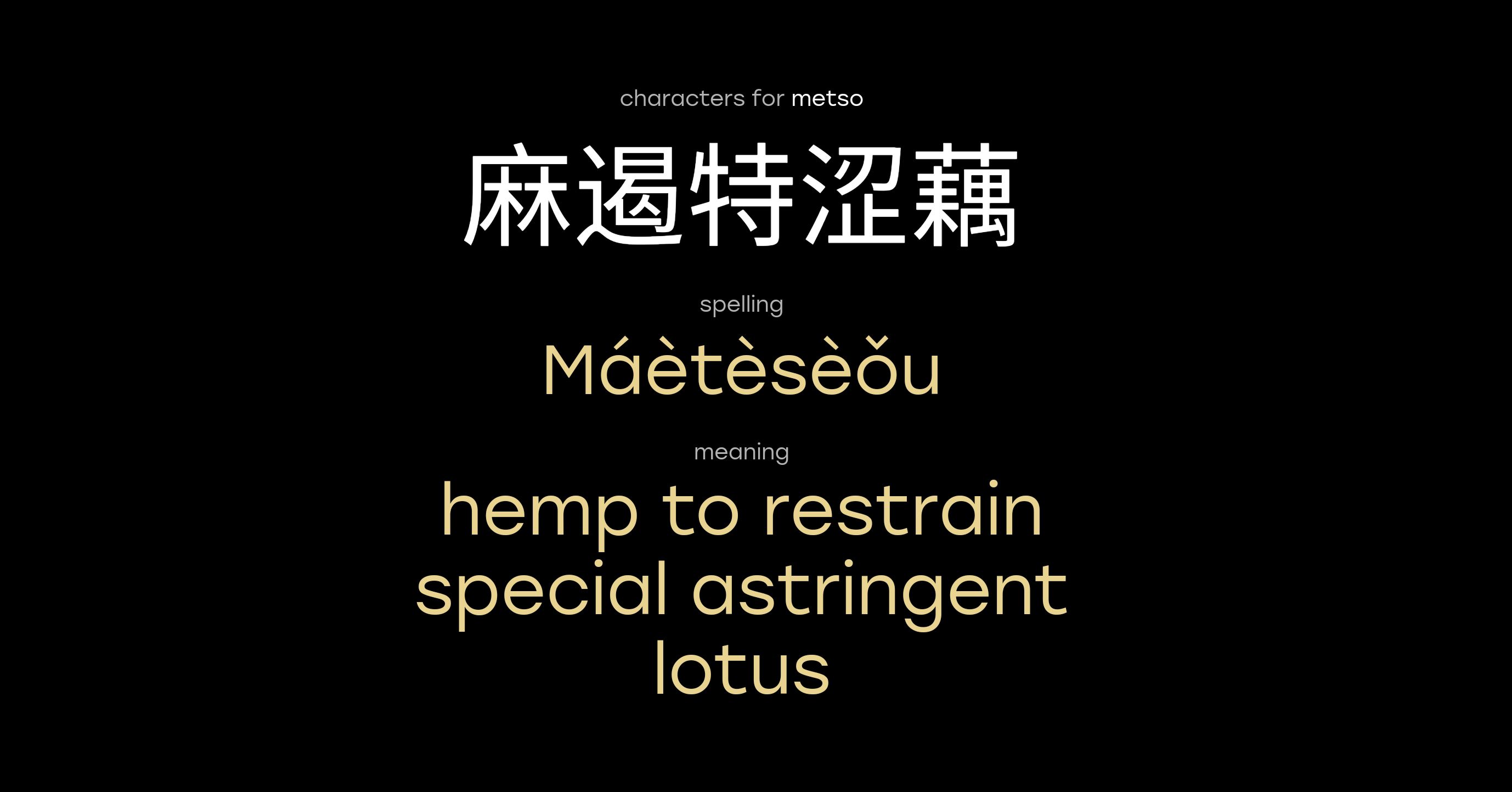 meaning-of-name-metso-in-chinese-laoshi
